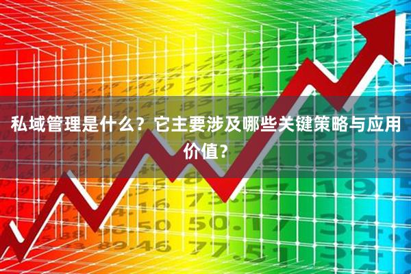 私域管理是什么？它主要涉及哪些关键策略与应用价值？