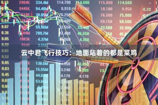 云中君飞行技巧：地面站着的都是菜鸡