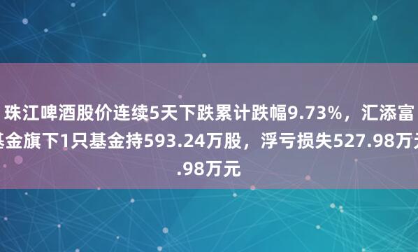 珠江啤酒股价连续5天下跌累计跌幅9.73%，汇添富基金旗下1只基金持593.24万股，浮亏损失527.98万元