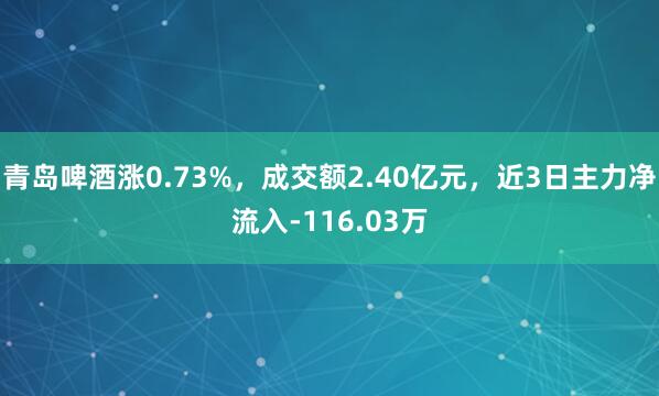 青岛啤酒涨0.73%，成交额2.40亿元，近3日主力净流入-116.03万